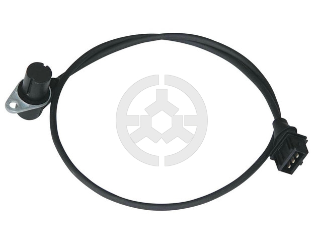 <b>BMW:</b> 12141703277<br/><b>BMW:</b> 1703277<br/>